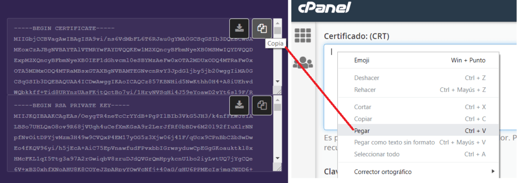 Begin certificate